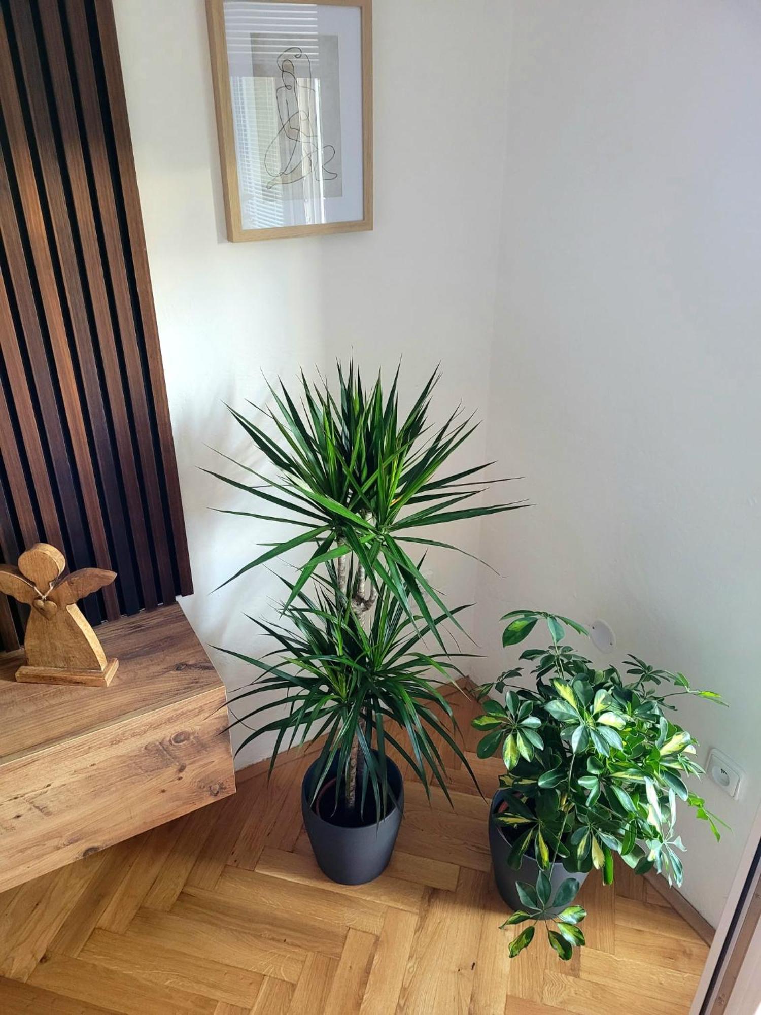 Novy Apartman Eva Jičín Esterno foto