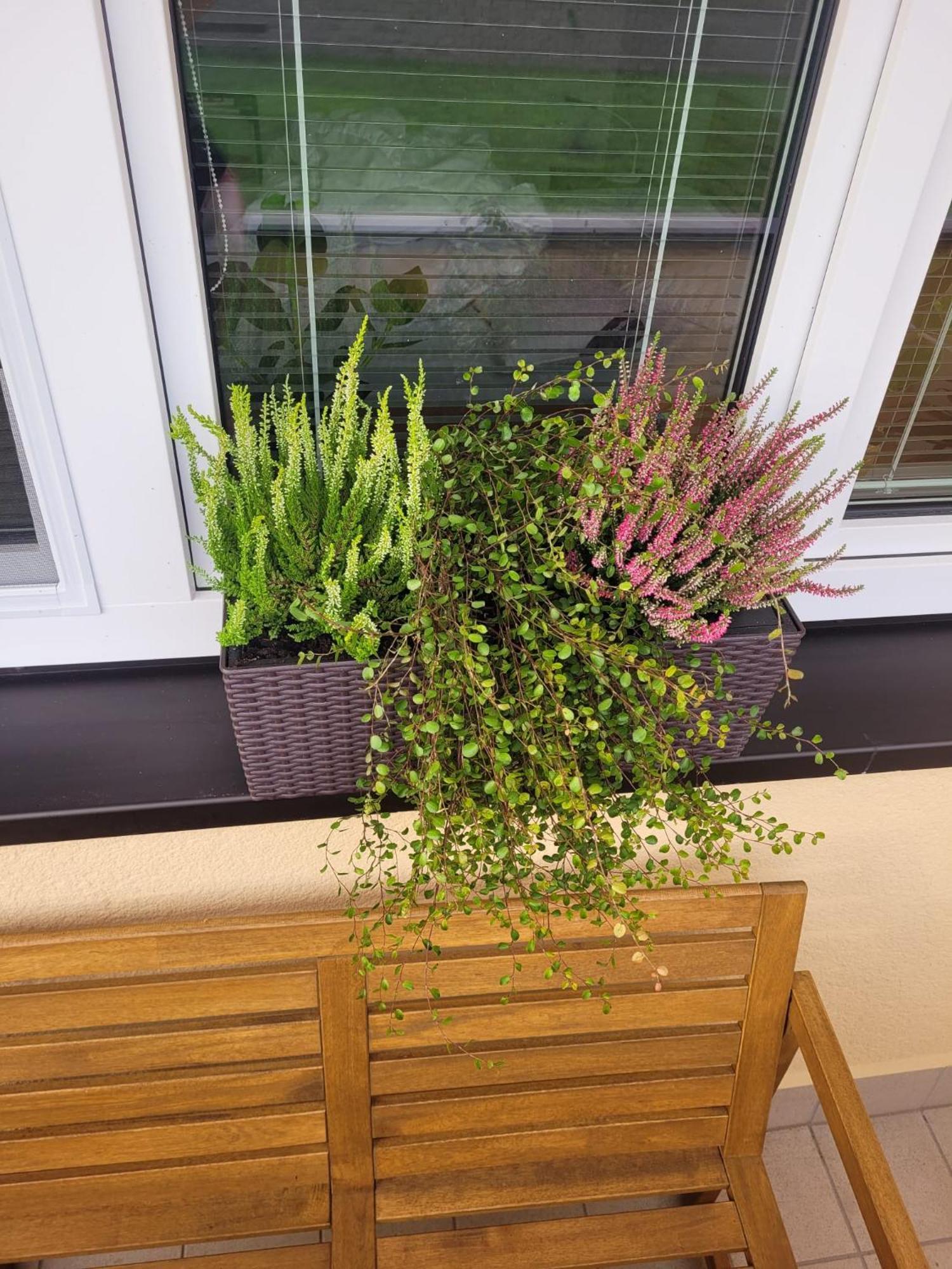 Novy Apartman Eva Jičín Esterno foto