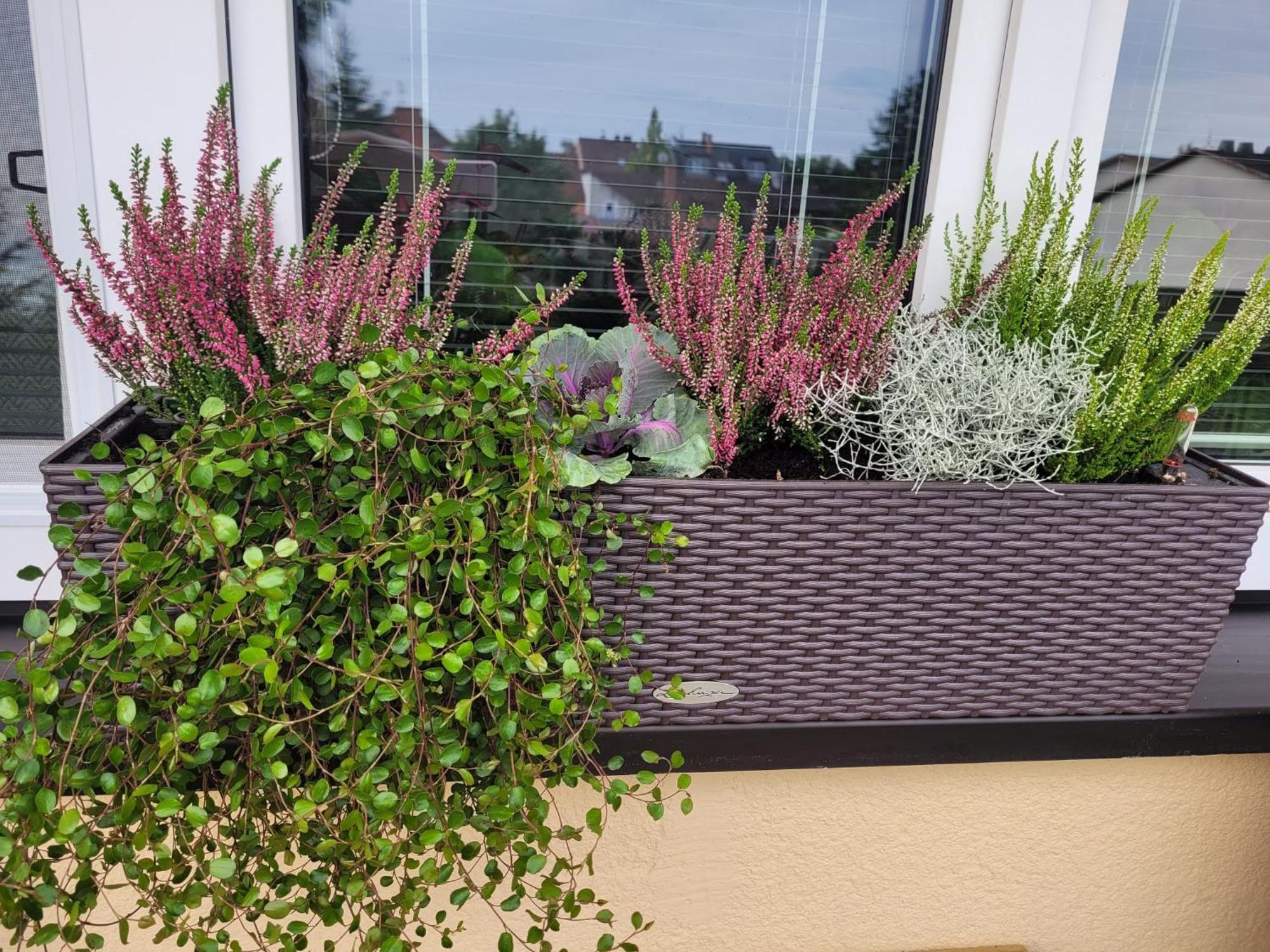 Novy Apartman Eva Jičín Esterno foto