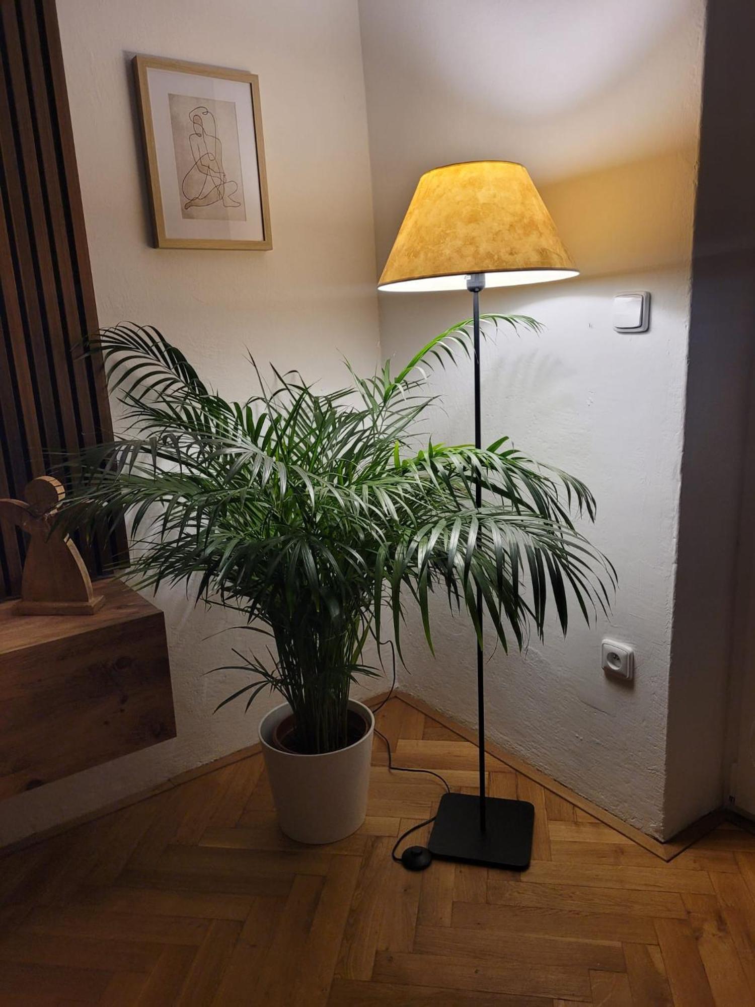 Novy Apartman Eva Jičín Esterno foto