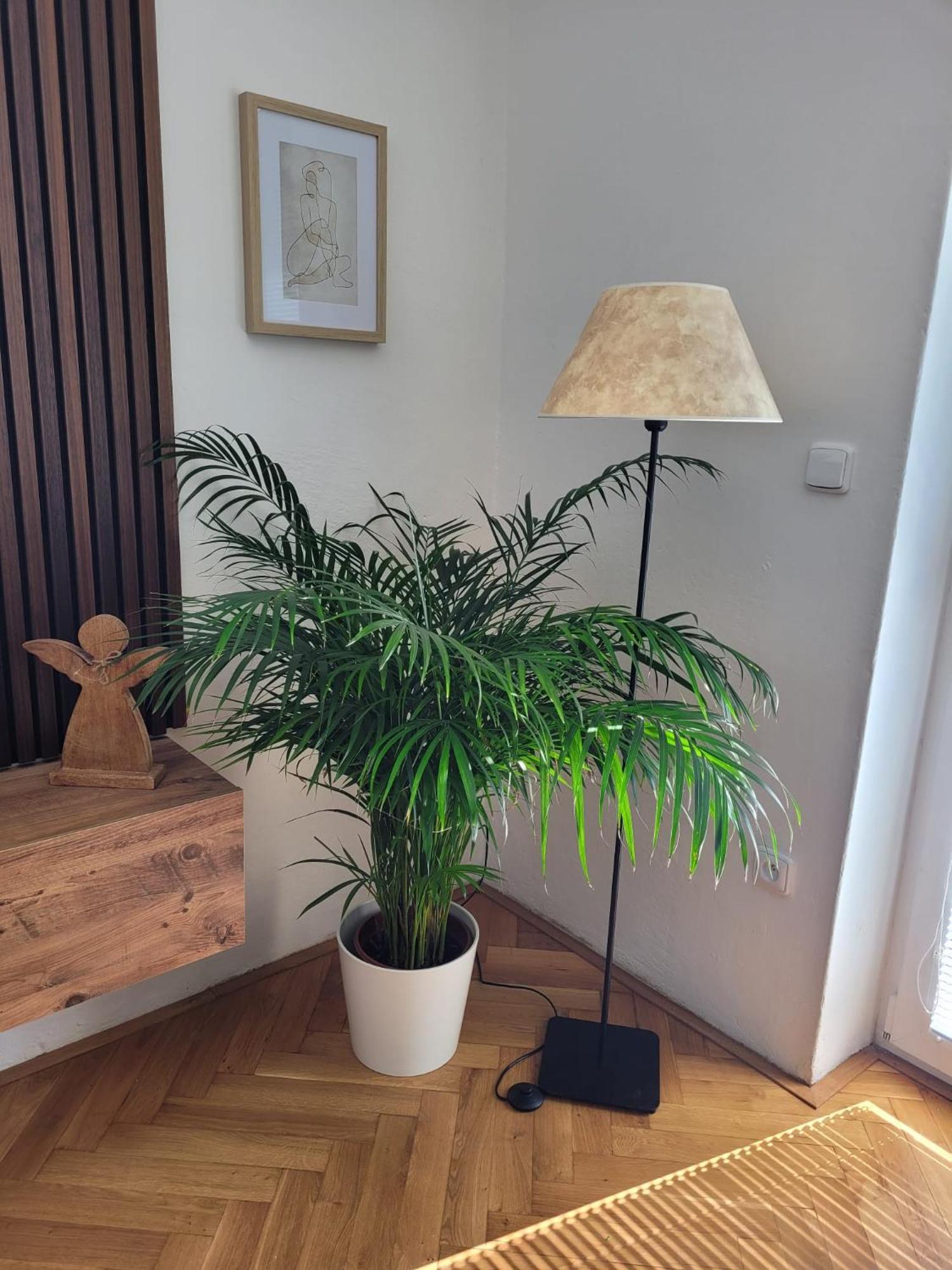 Novy Apartman Eva Jičín Esterno foto